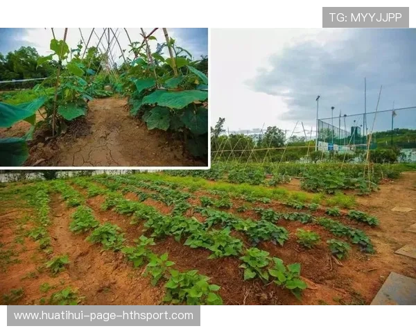 联盟鼓励俱乐部开展女性青训项目拓展人才池 联盟鼓励俱乐部开展女性青训项目拓展人才池