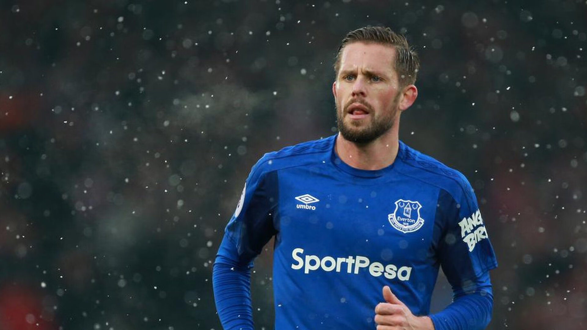 体育明星商业投资